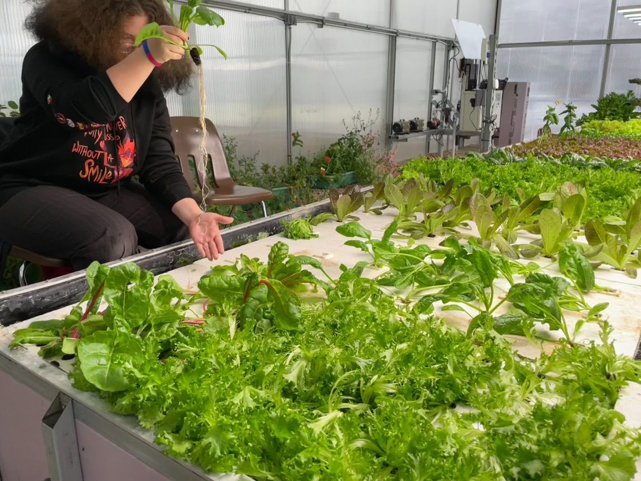 Student Gardening in SCSD2 Greenhouse